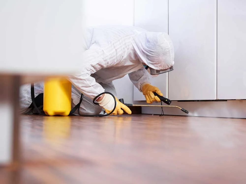 A professional inspecting the condition of a floor