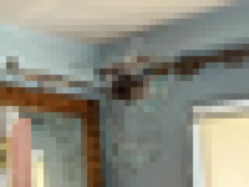 Interior room with water-like staining and peeling around ceiling trim.