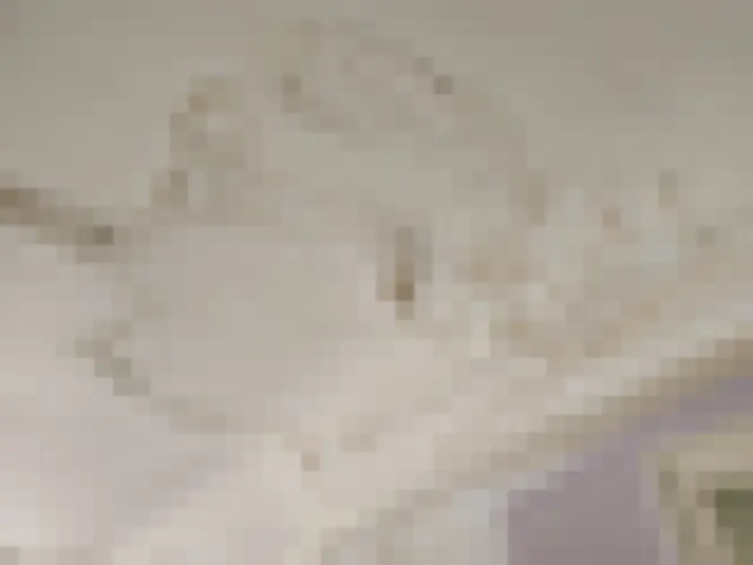 Uneven raised white coating and tan marks visible near ceiling perimeter