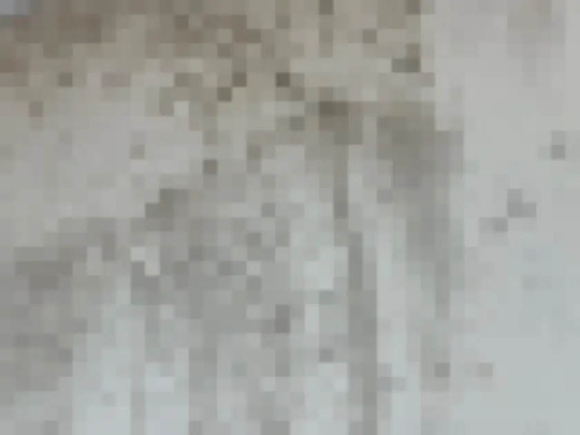 Clusters of rounded dark spots spread across light painted wall