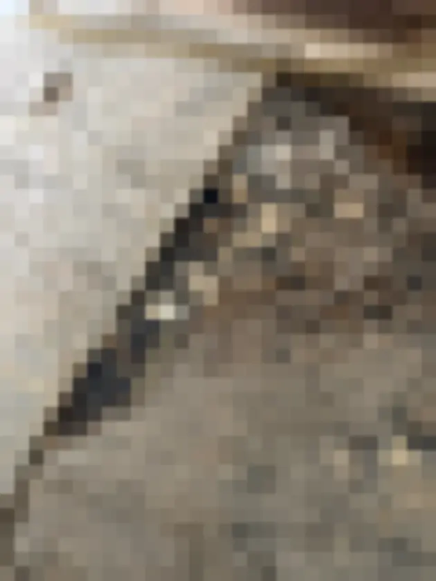 Broken floor panels and blackened underlying material near damaged tile area.