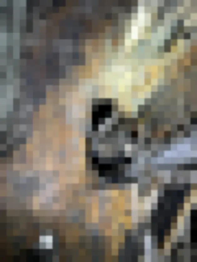 Darkened rough flooring and damaged open framing with scattered debris
