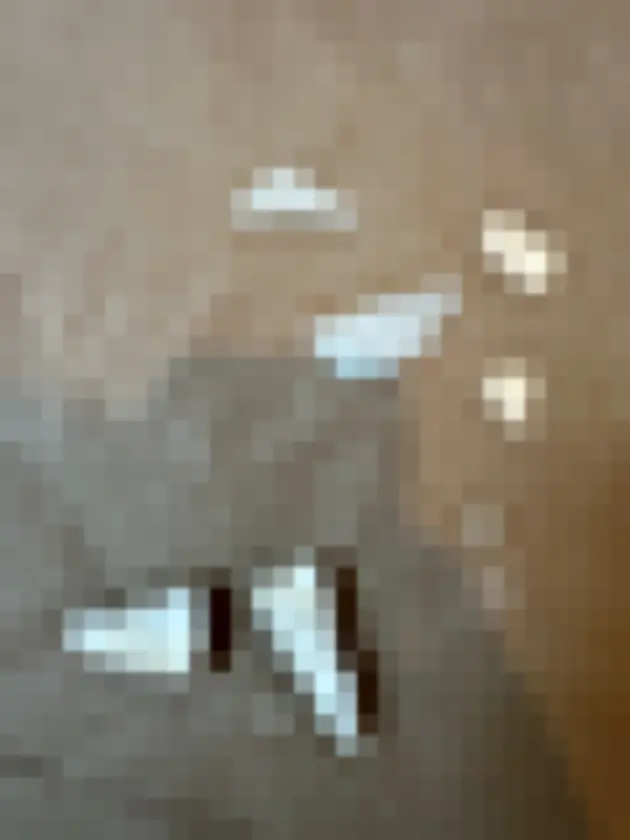 Detached pale fragments or small material pieces placed on dusty bare floor.