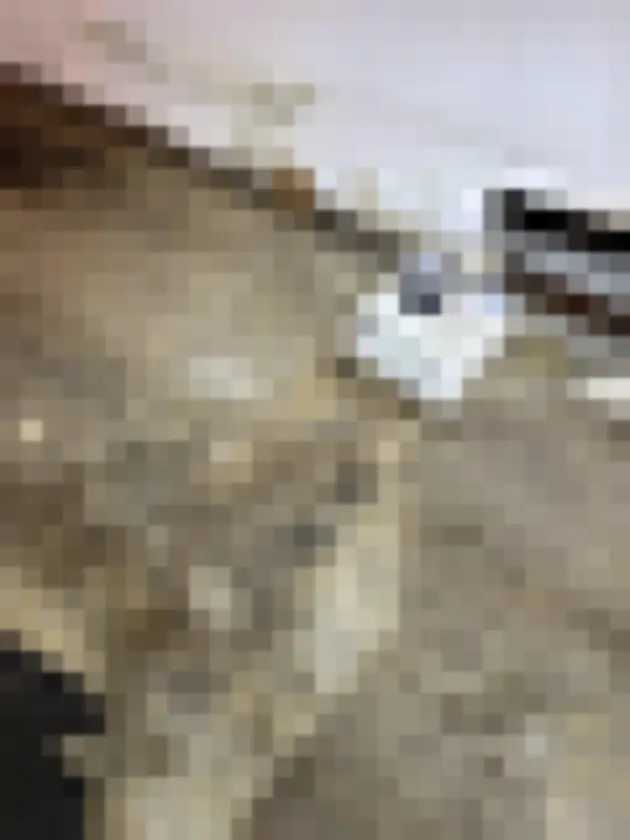 Discolored lower wall and floor area during a site visit