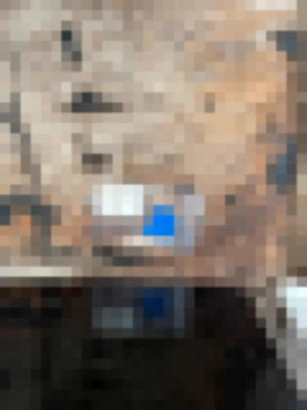 Worn wood flooring with a blue-taped small square marker.
