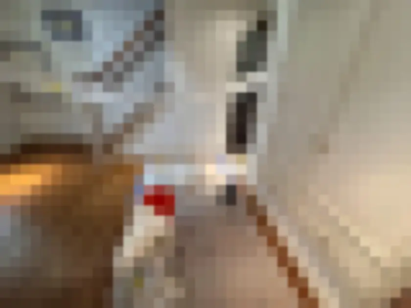Photograph of protective plastic sheeting and taped surfaces along residential hallway stairway