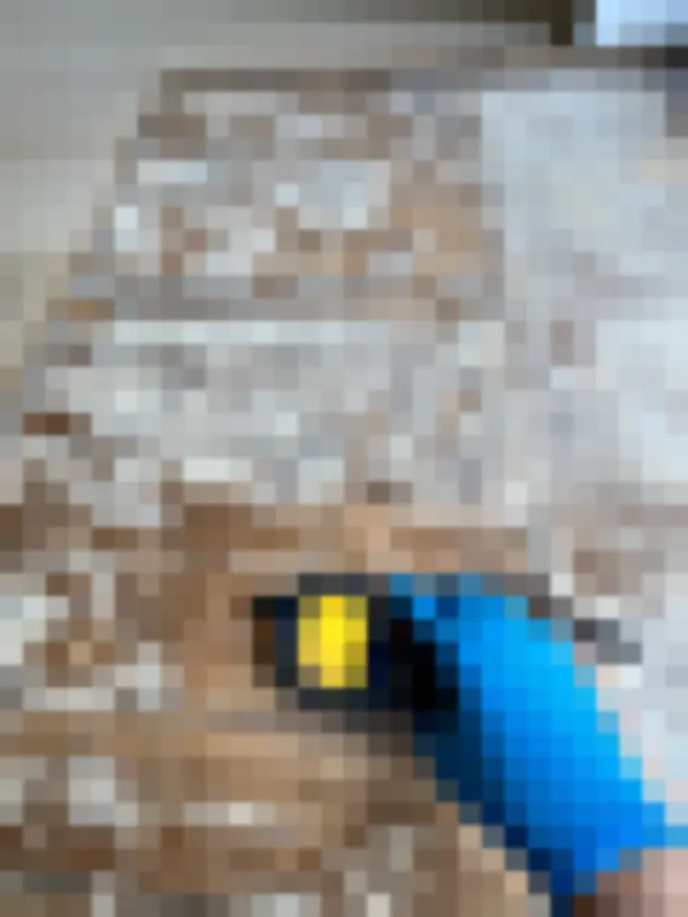 Gloved technician positioning a handheld meter on a worn wooden floor