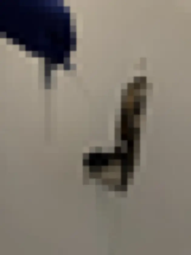Photograph of blue-gloved hand inserts slender sampling or inspection probe in cut wallboard